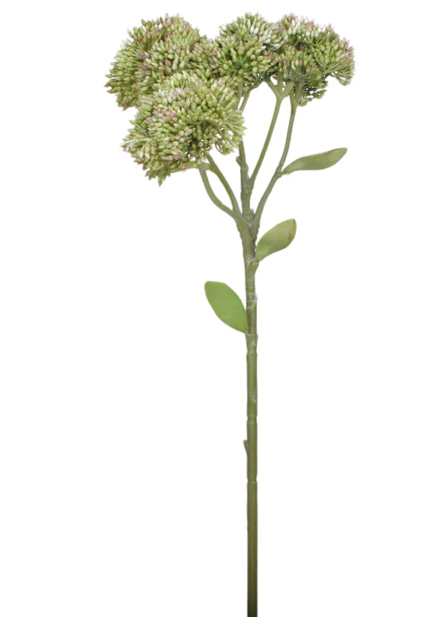 16" Sedum Stem - UV Treated SE1039UV