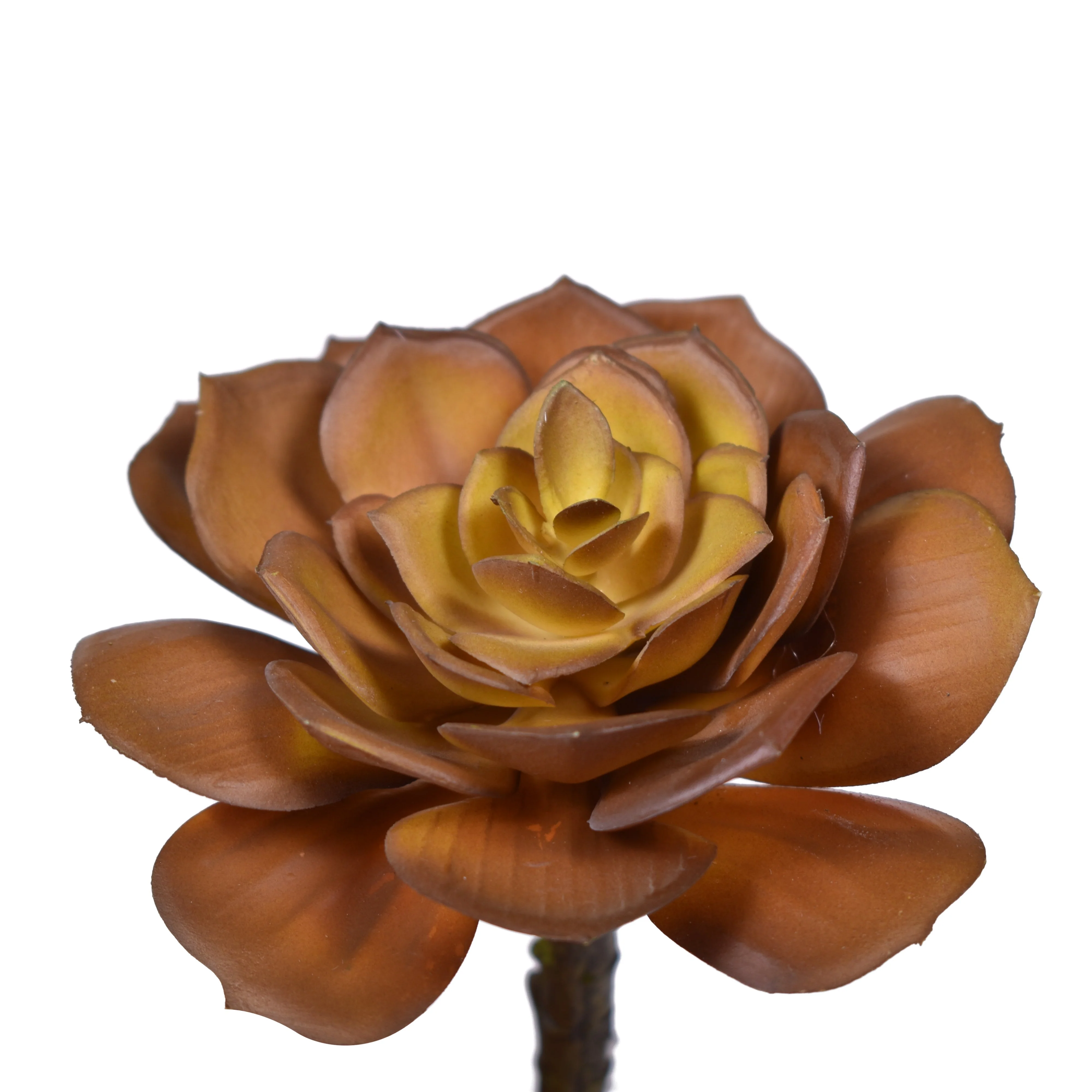 5" Succulent Pick - UV Treated SF1070UV