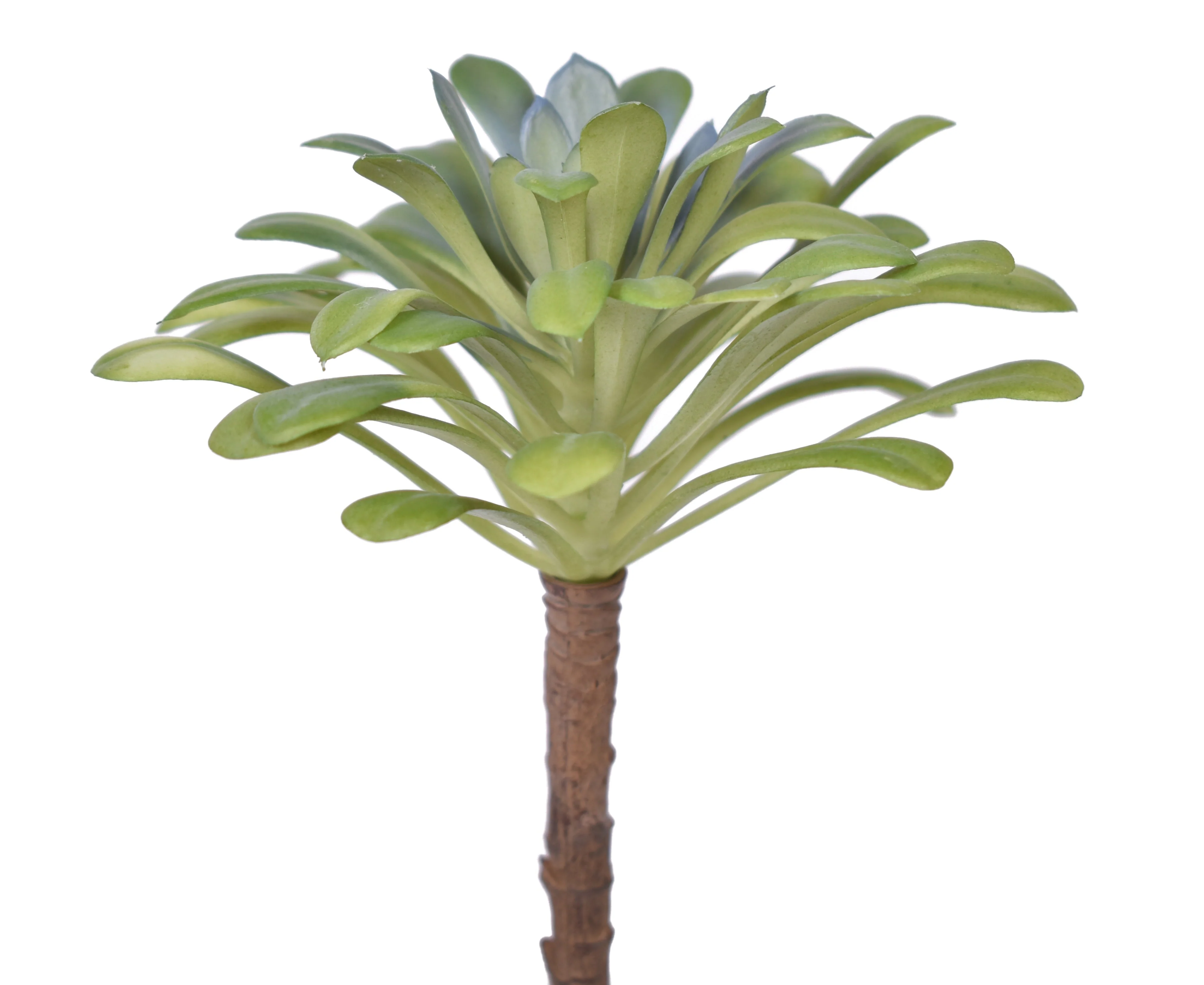 6" Succulent Pick - UV Treated SF1072UV