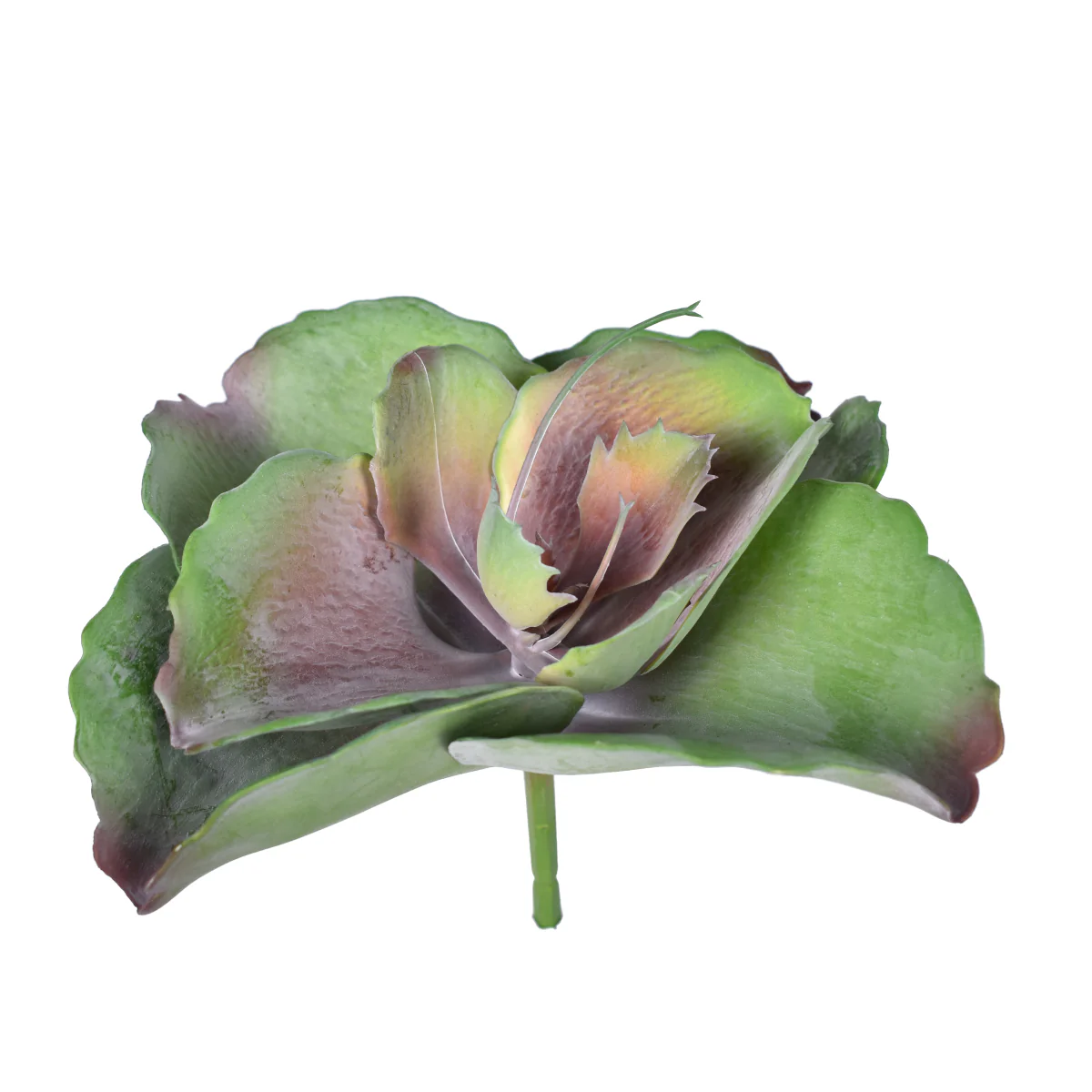 8.5" Succulent Pick - UV Treated SF1100UV