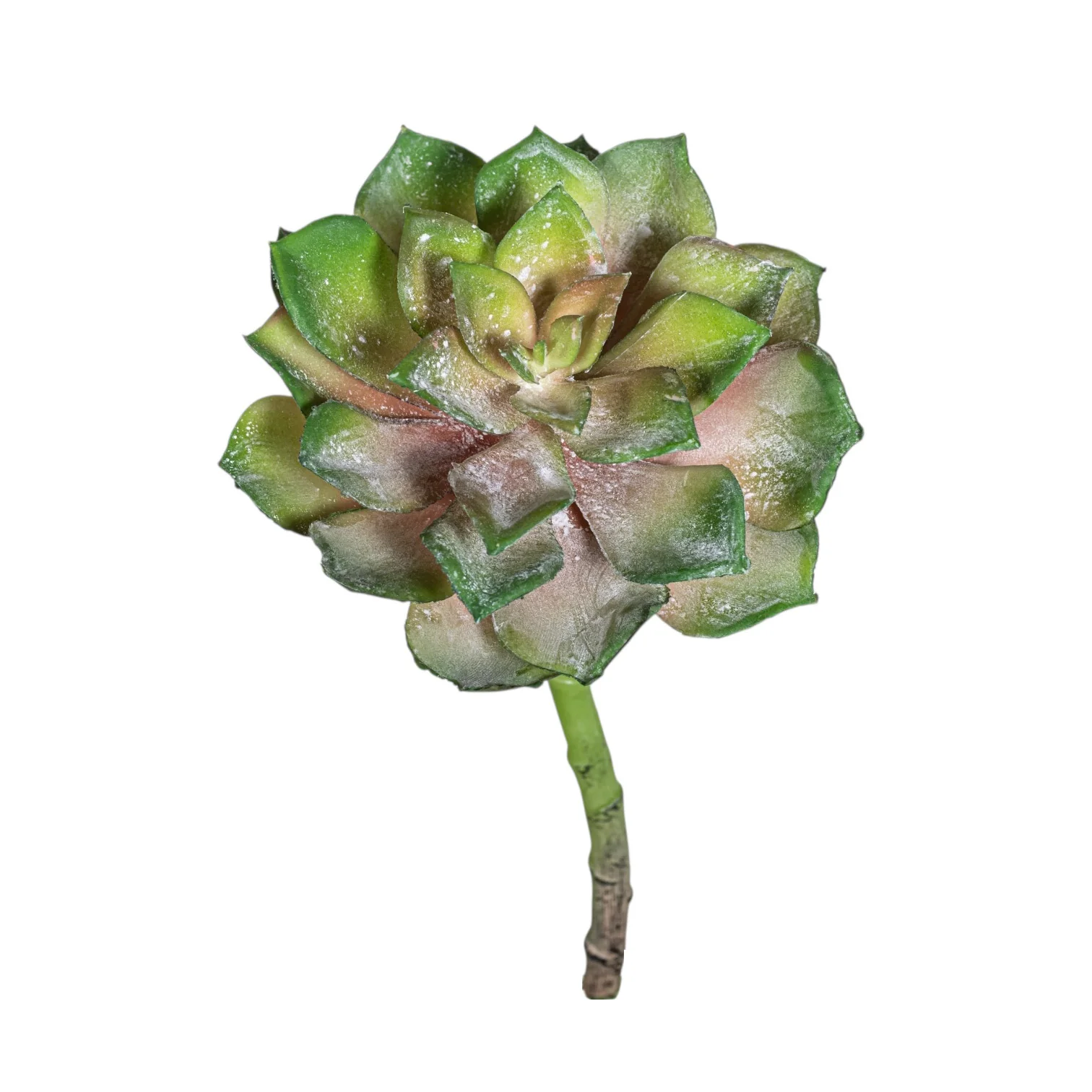 8" Aeonium Succulent Stem - UV Treated SF1130UV - Image 2