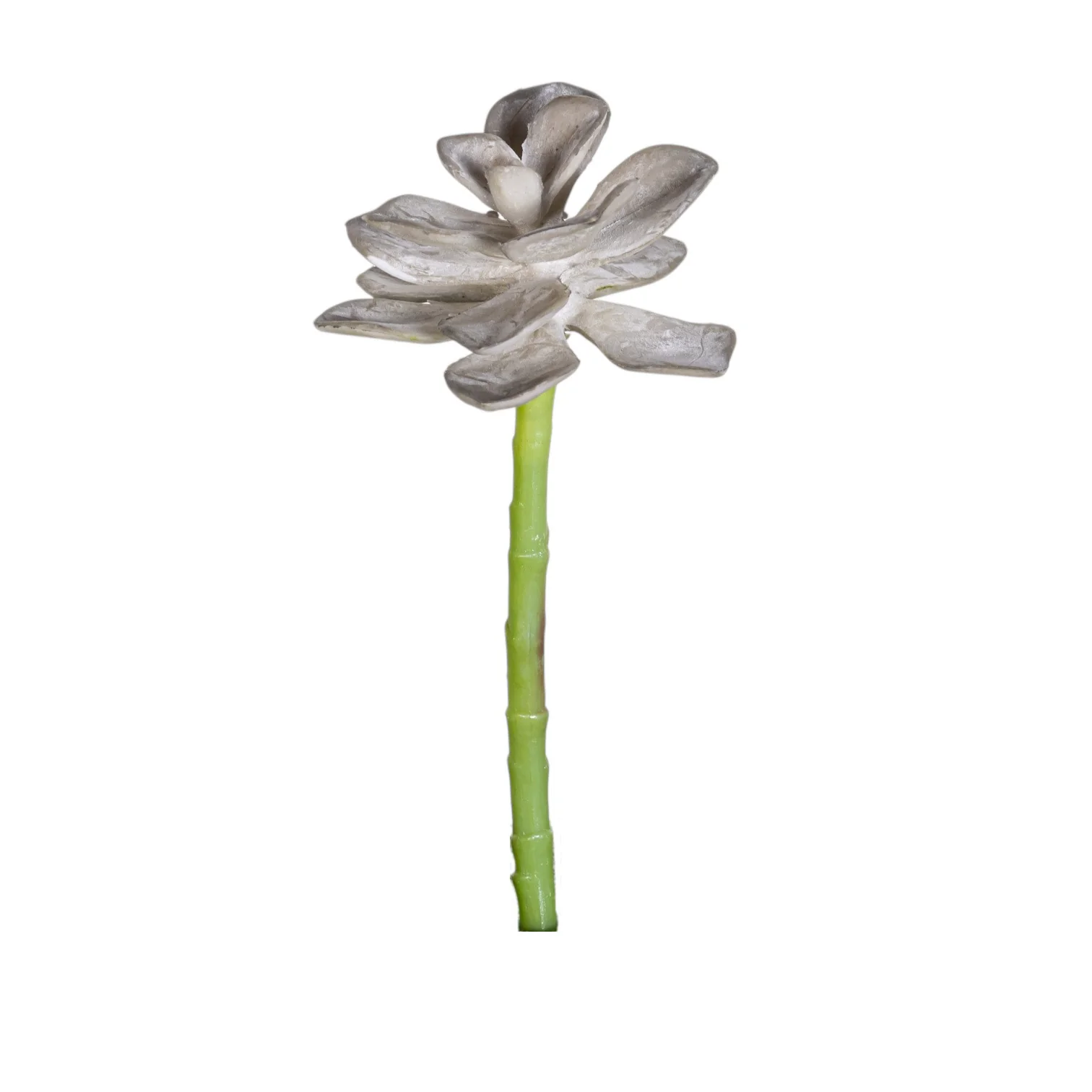 7.5" Aeonium Succulent Stem - UV Treated SF1131UV