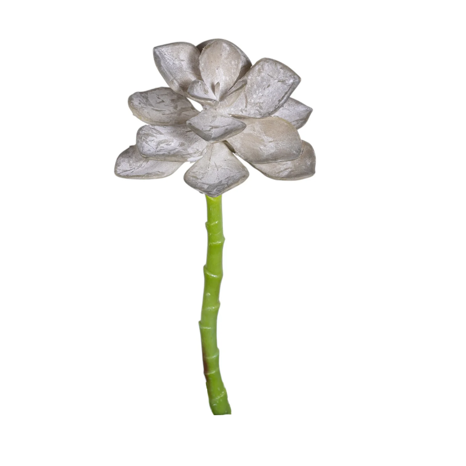 7.5" Aeonium Succulent Stem - UV Treated SF1131UV - Image 2