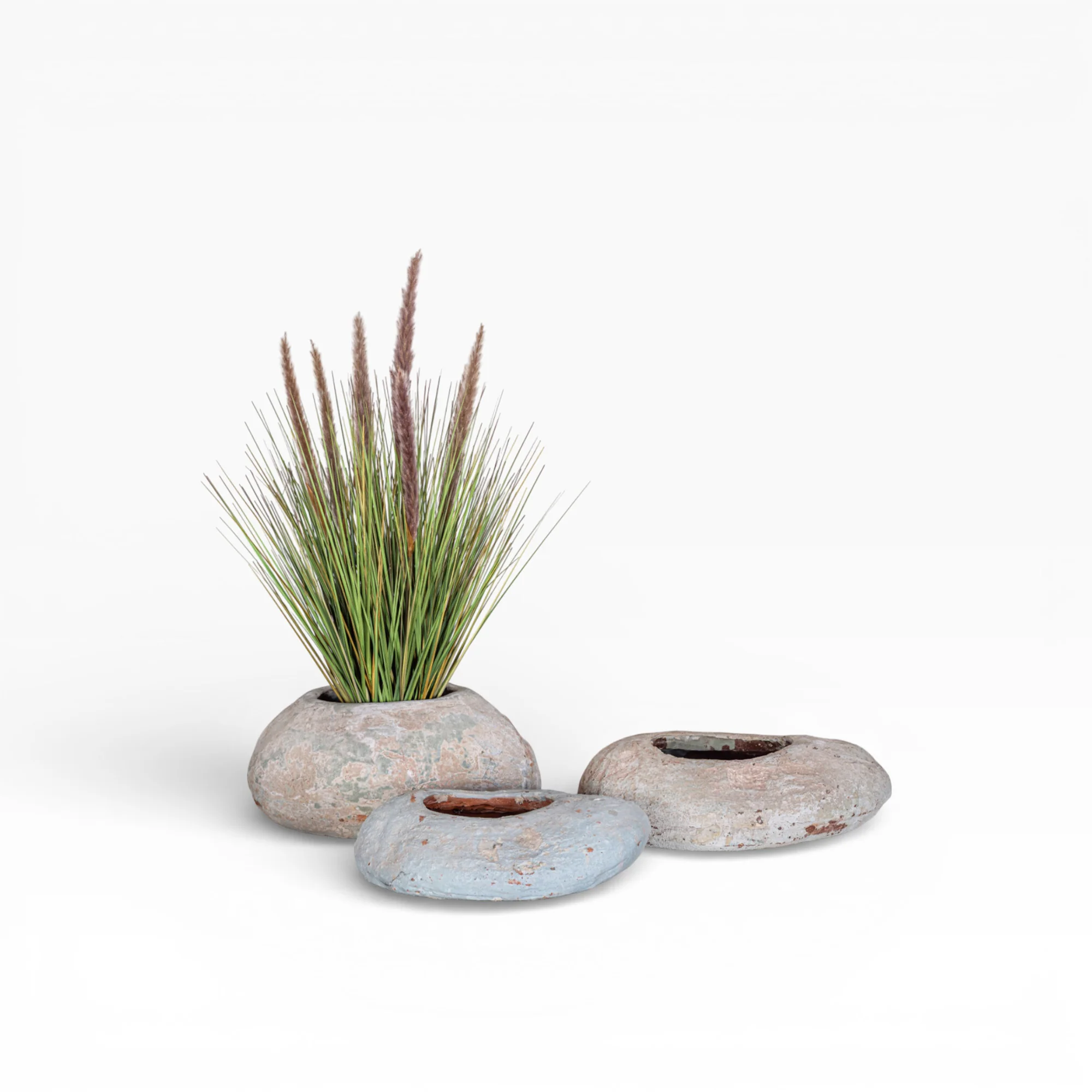 Skye Pot Collection Short CN1397 - Image 7