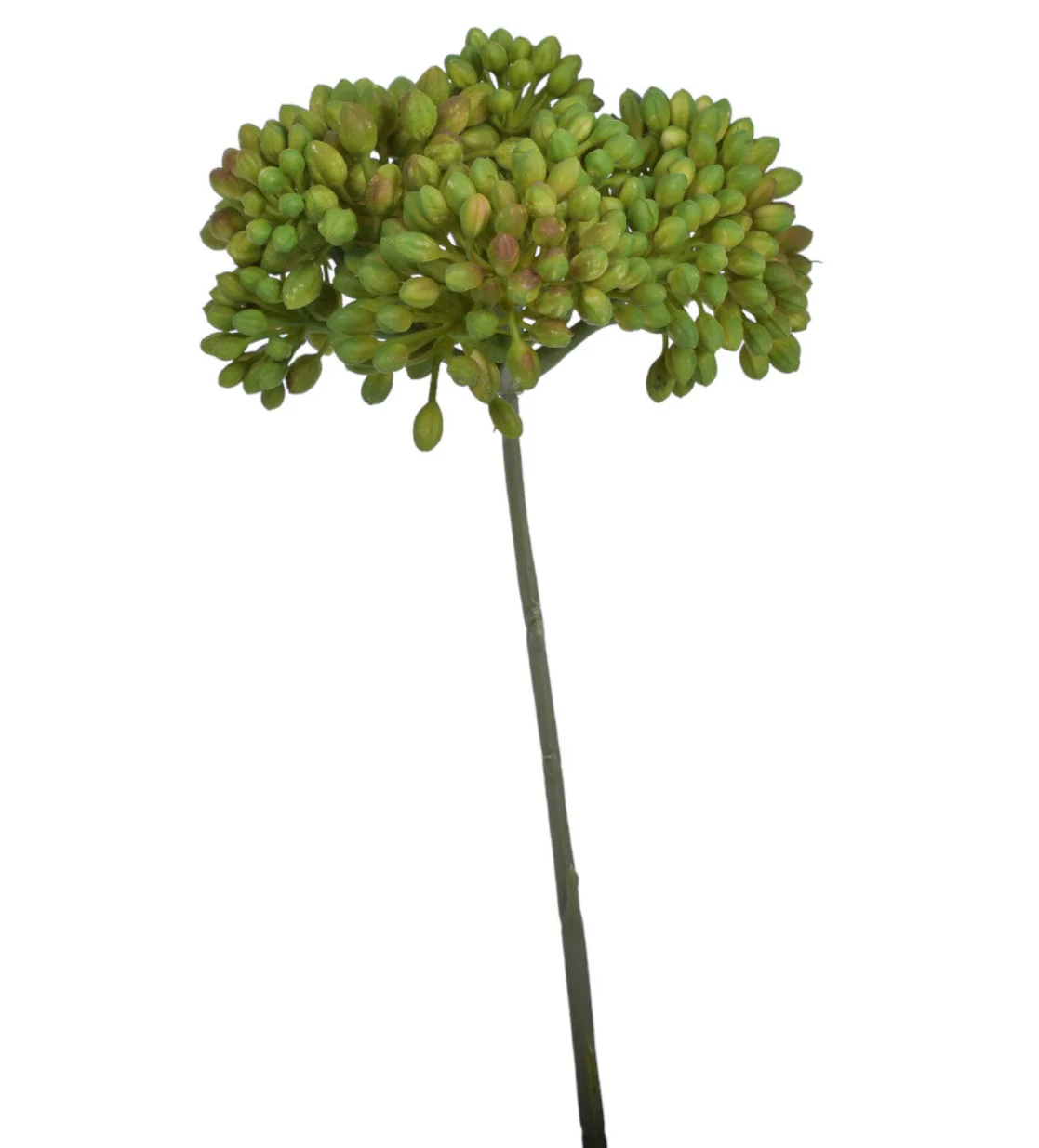 12" Berry Stem - UV Treated ST1148UV