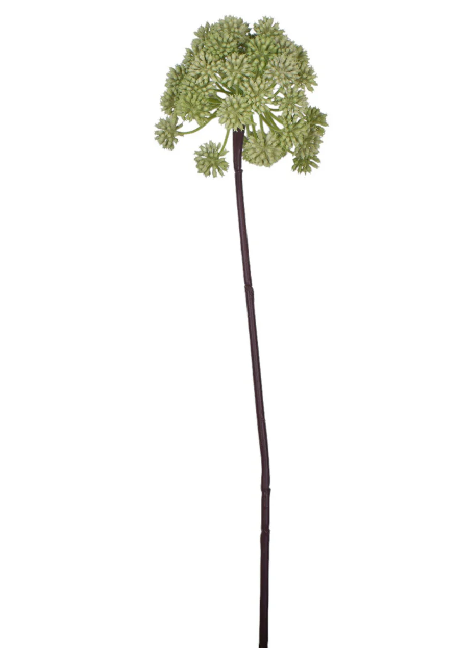 38" Angelica Stem - UV Treated ST1156UV