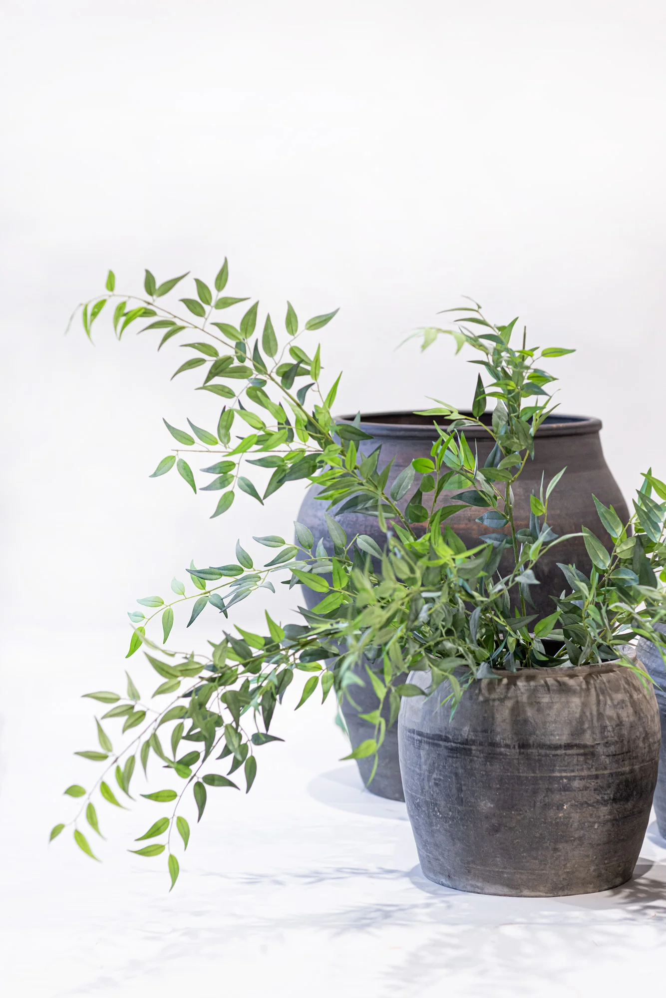 47" Italian Ruscus - UV Treated ST1158UV - Image 3