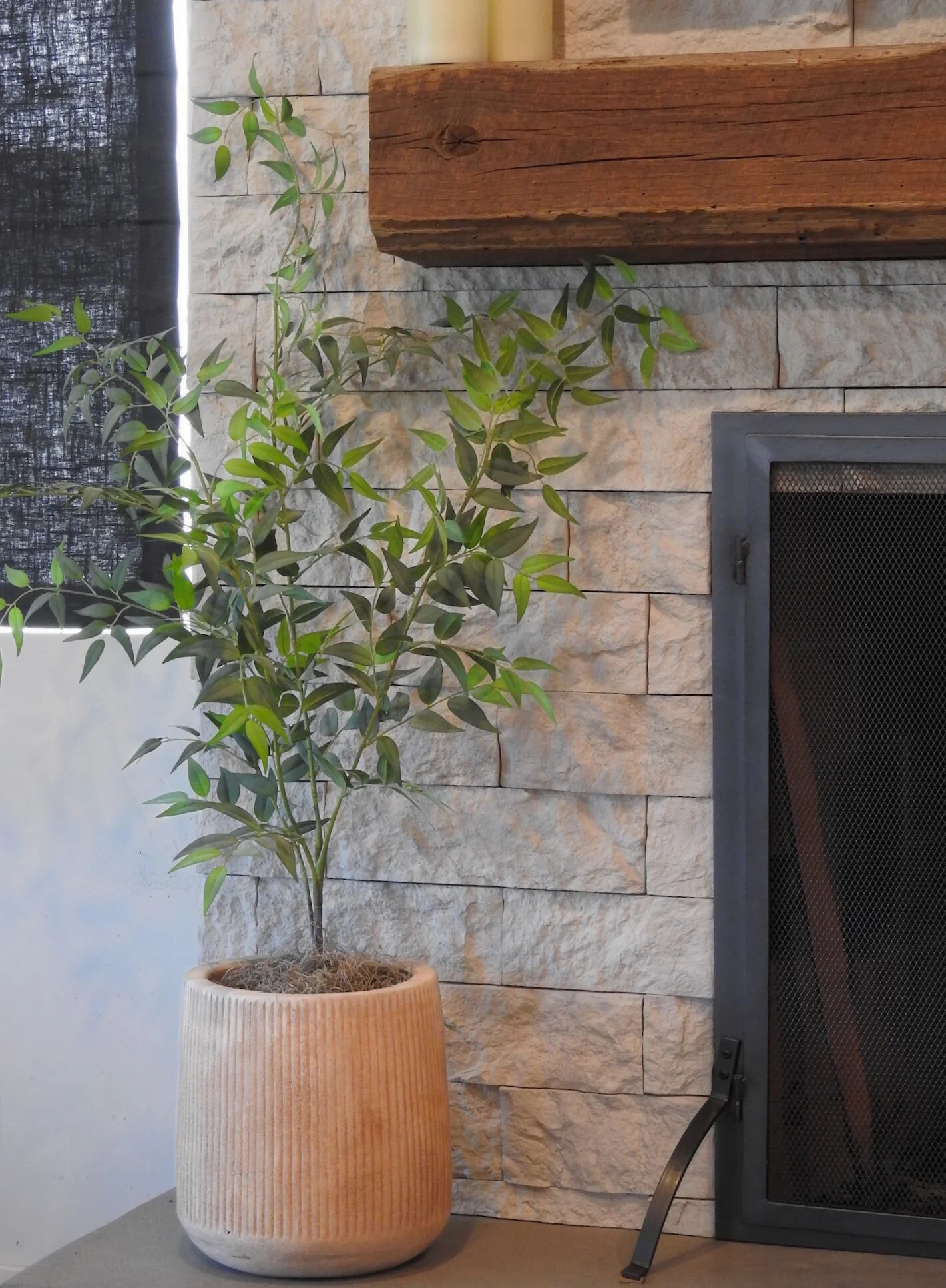 47" Italian Ruscus - UV Treated ST1158UV - Image 5