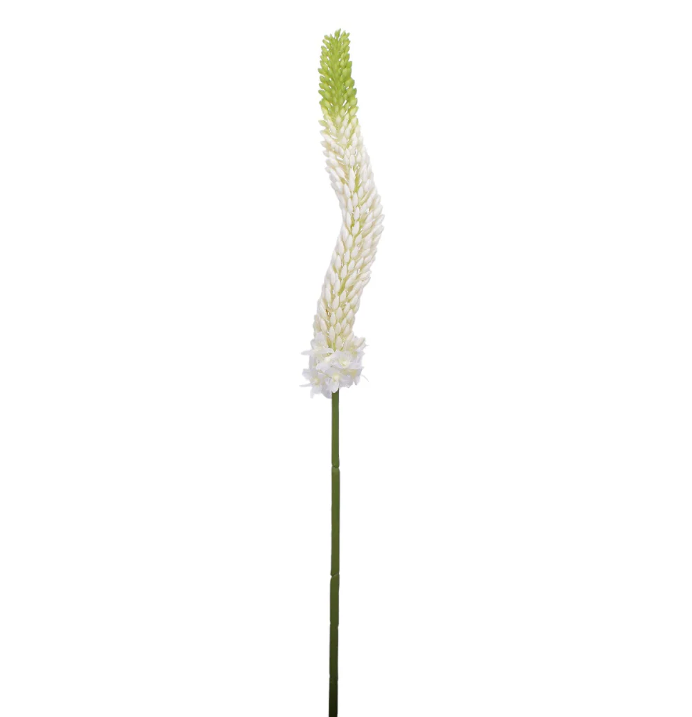 34" Foxtail Lily - UV Treated ST1164UV