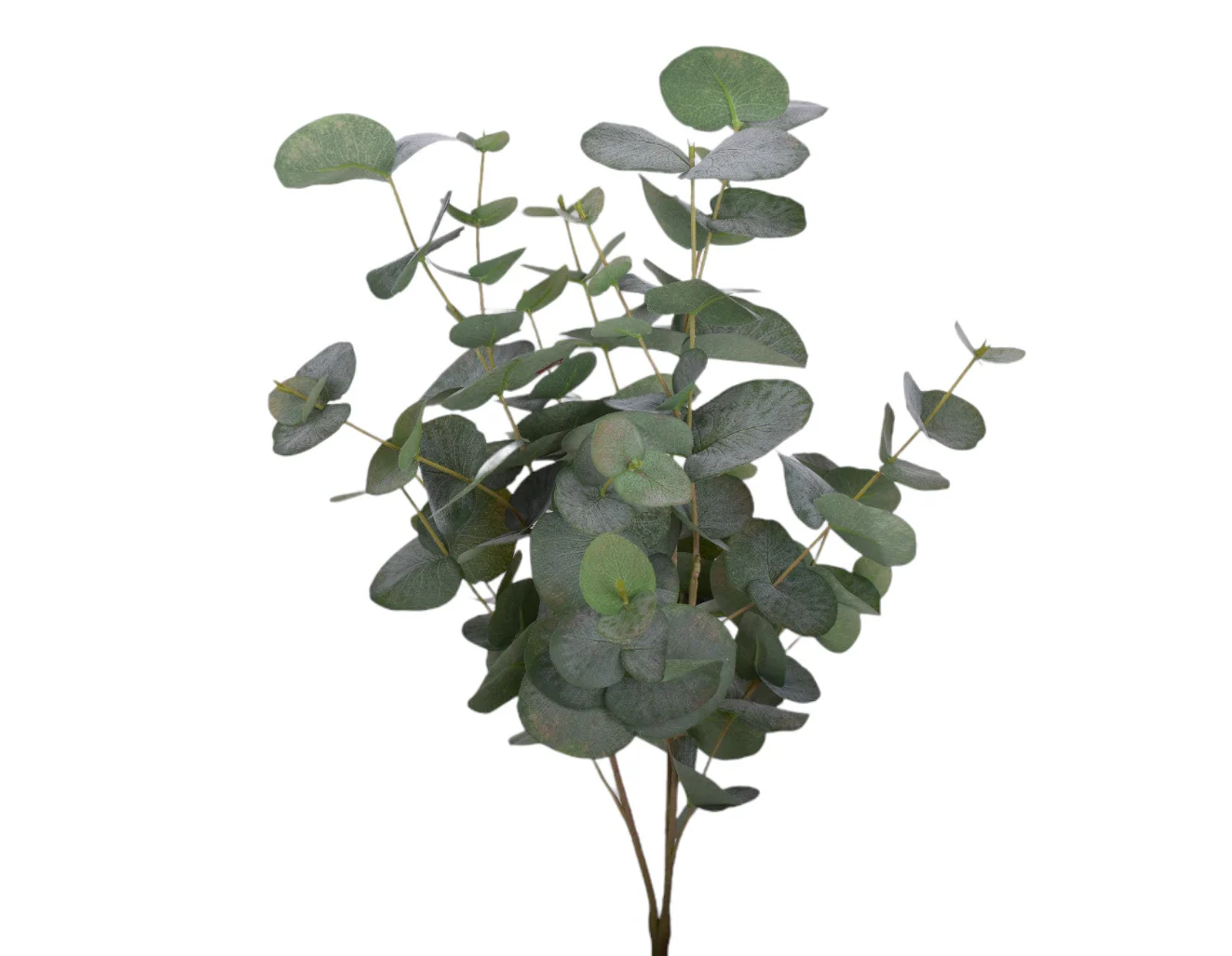 24" Eucalyptus Stem - UV Treated ST1166UV