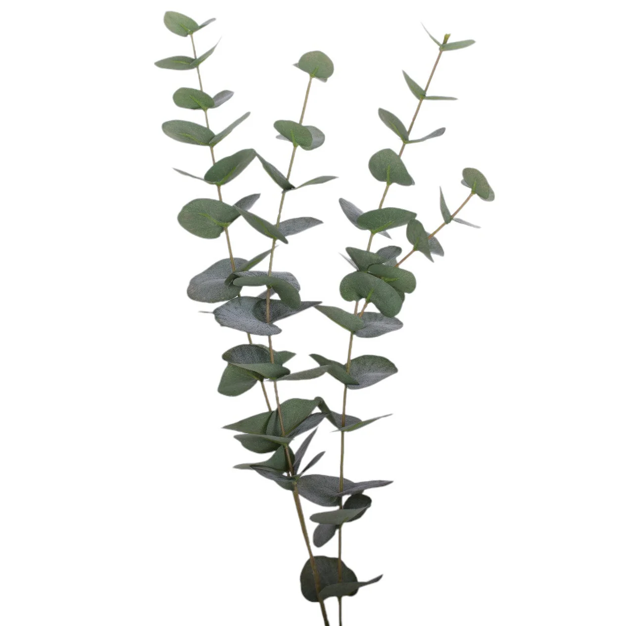 22" Eucalyptus Stem - UV Treated ST1167UV