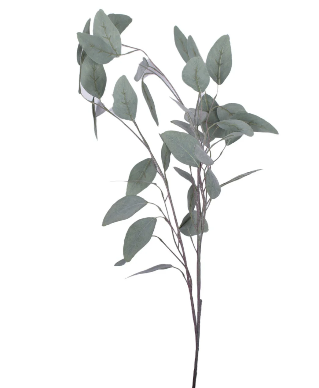 36" Eucalyptus Stem - UV Treated ST1168UV