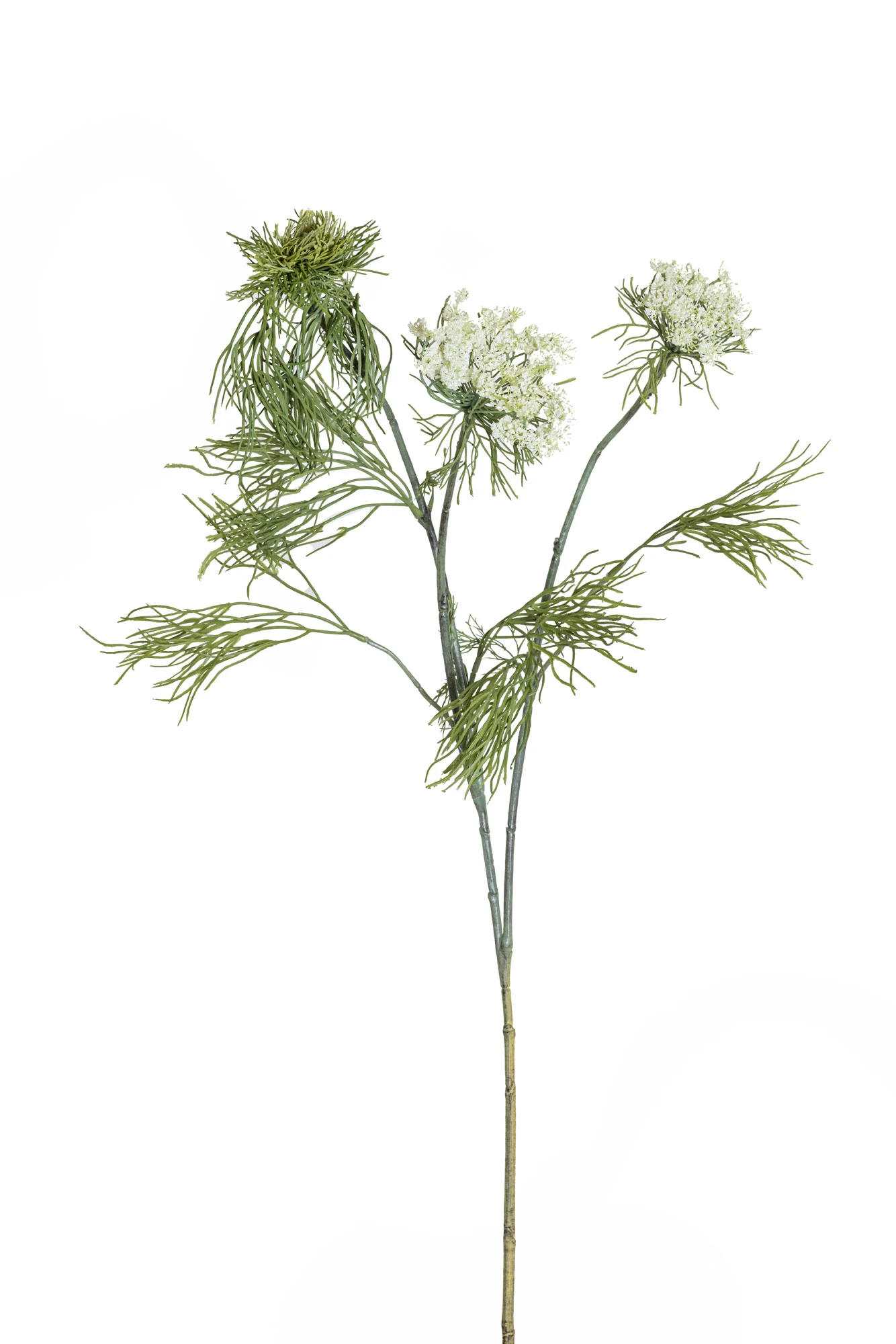 31” Queen Anne's Lace - UV Treated ST1191UV