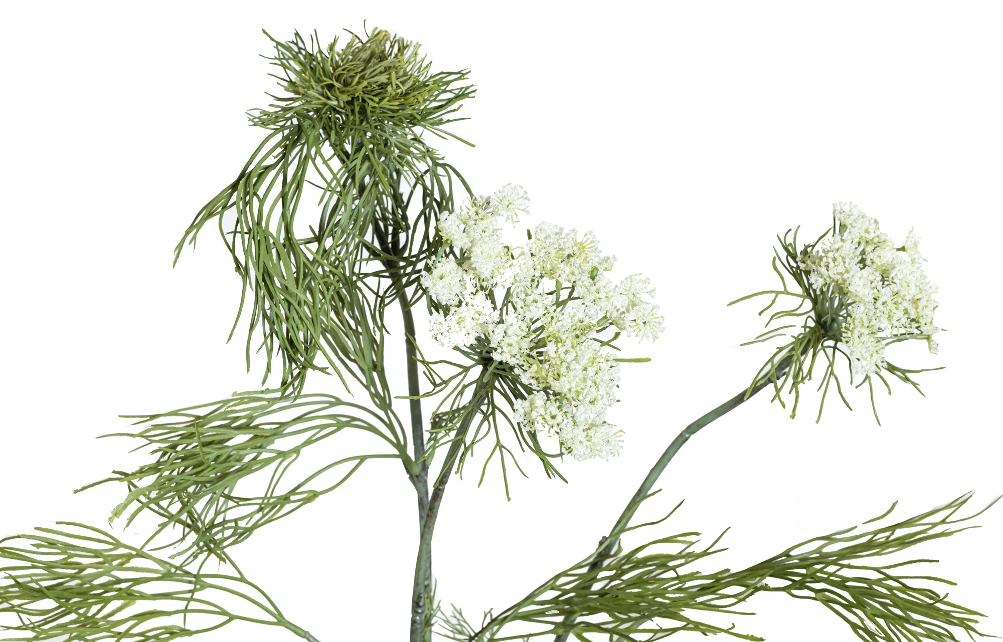 31” Queen Anne's Lace - UV Treated ST1191UV - Image 2