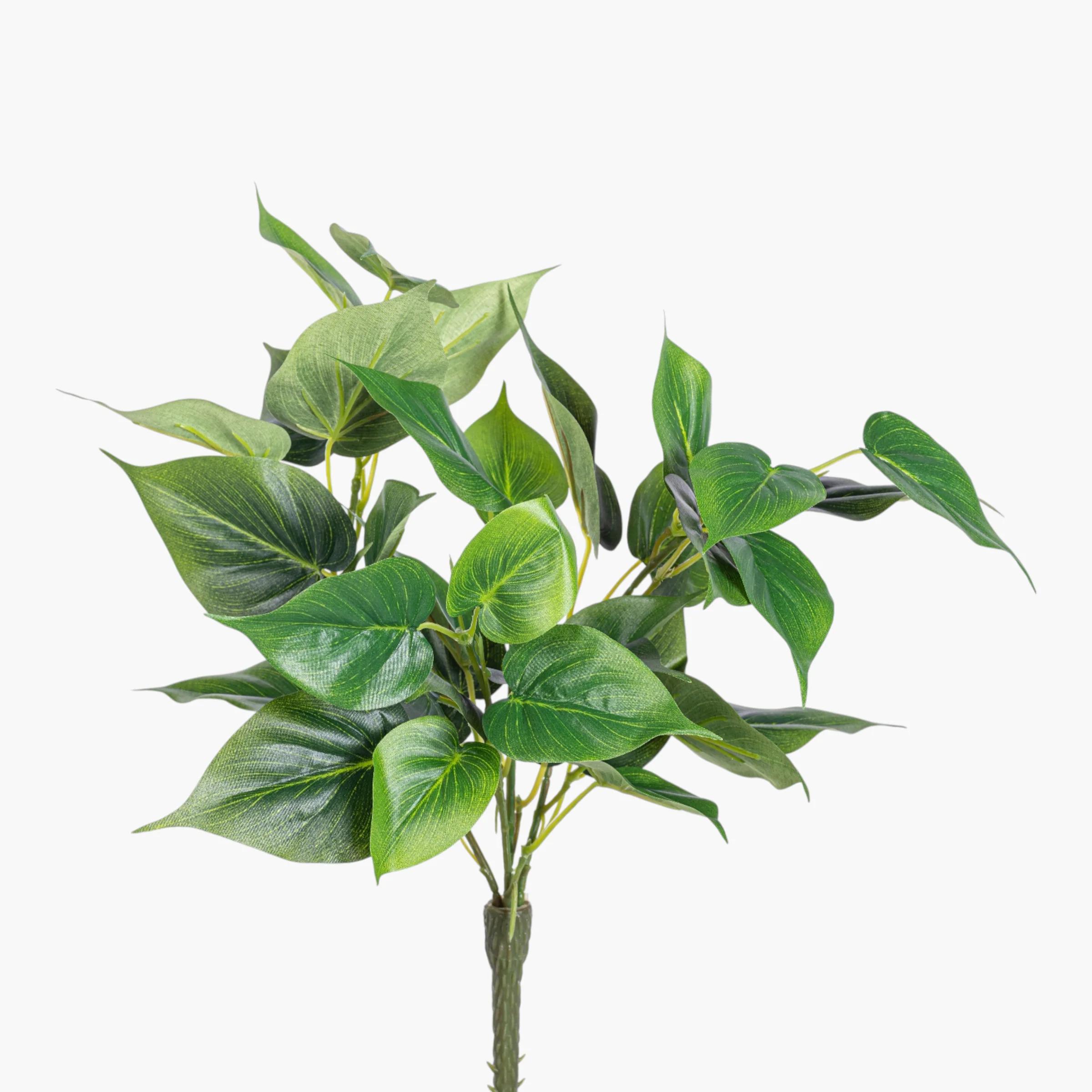 New Florals, Greenery and Succulents