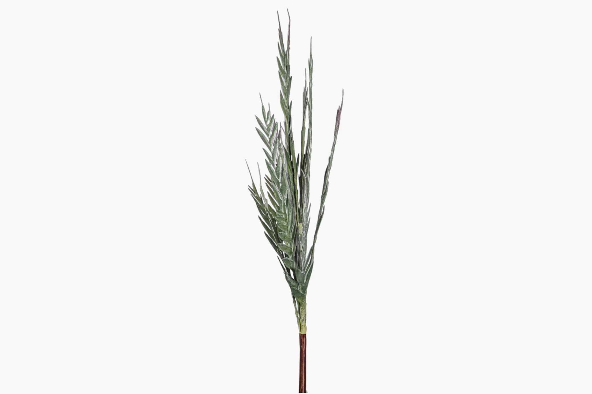 43" Grevillea Spray ST1258 - Image 3