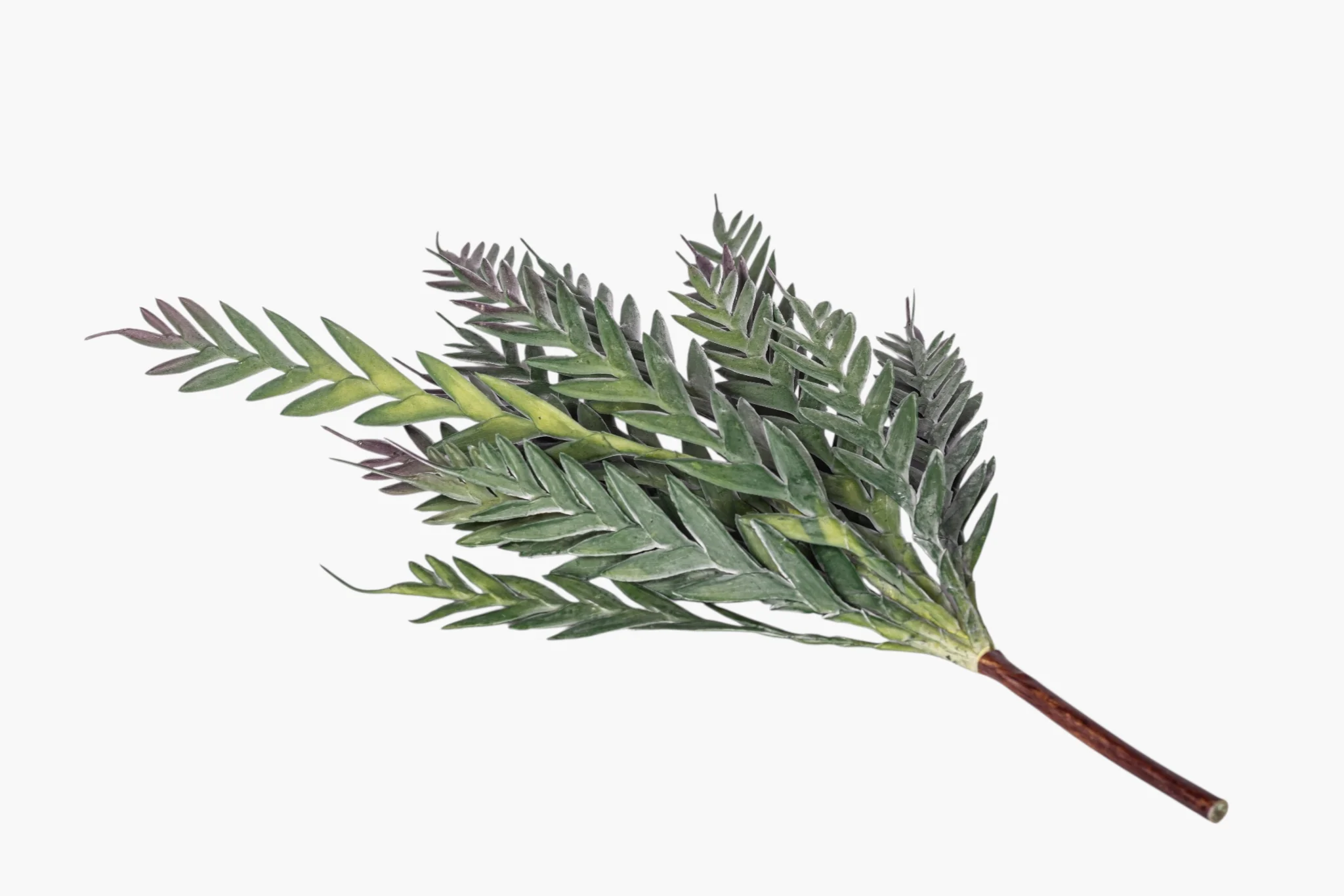 43" Grevillea Spray ST1258 - Image 4