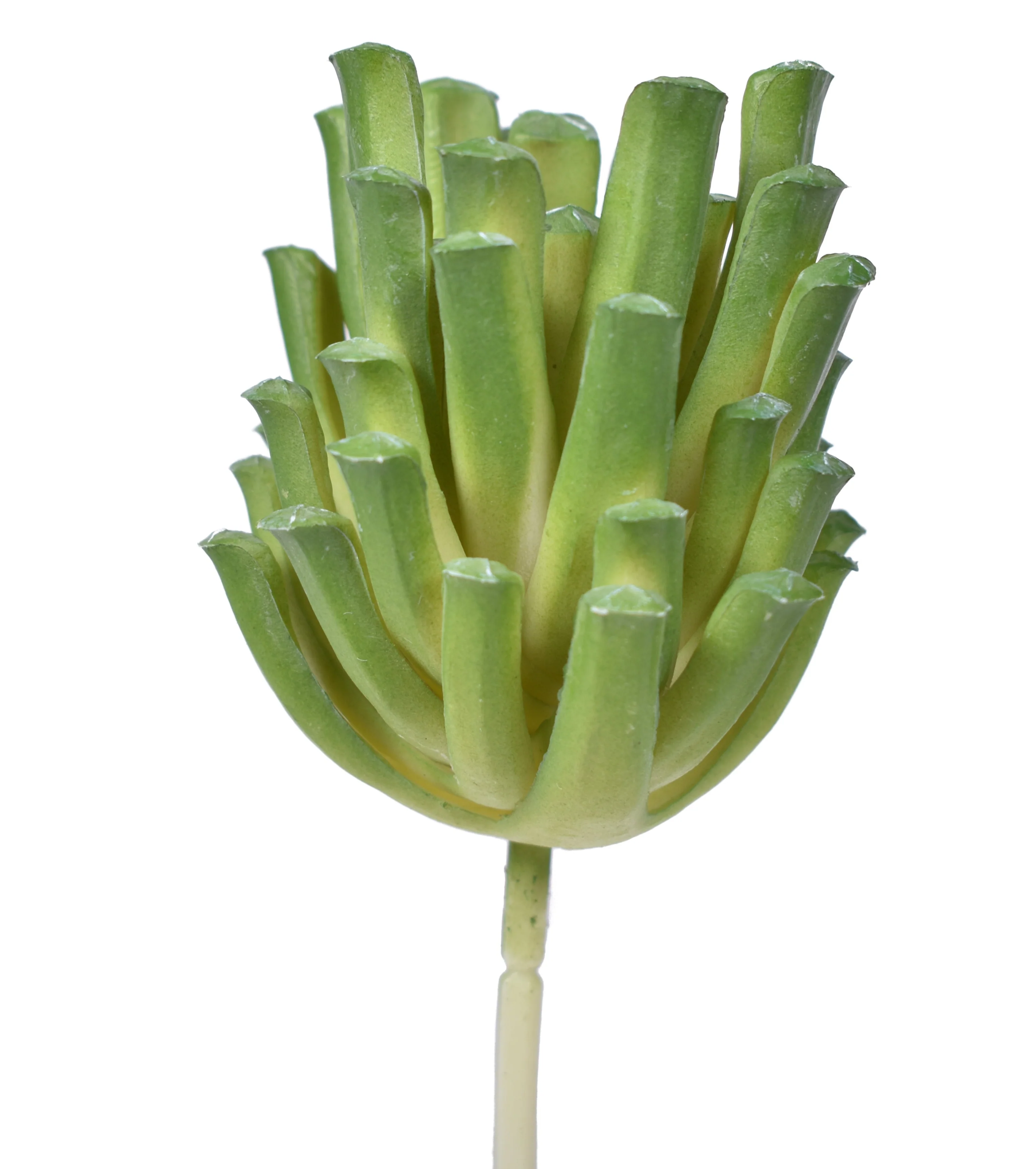 5" Succulent Pick - UV Treated SU1068UV