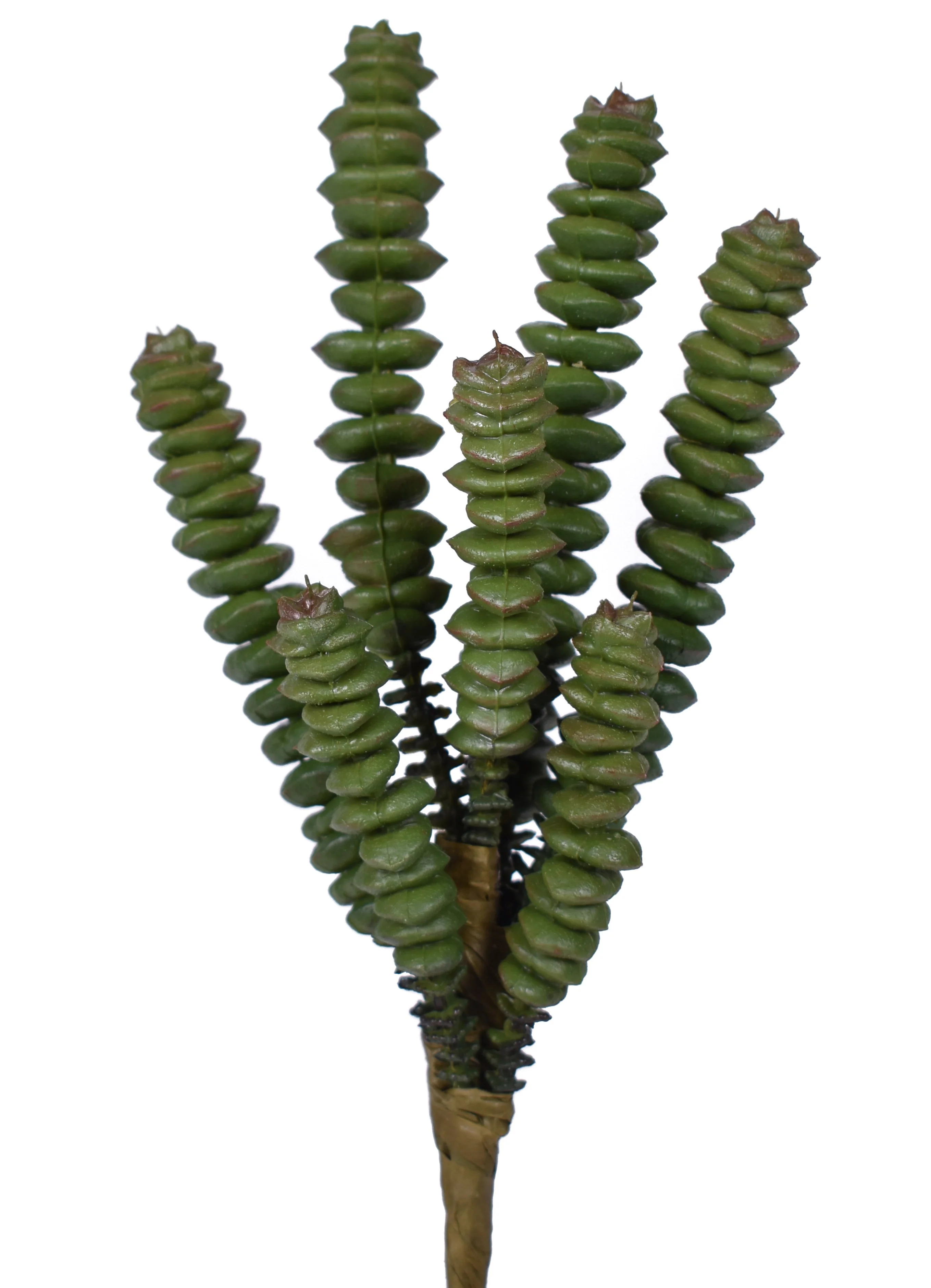 7.5" Succulent Pick - UV Treated SU1070UV