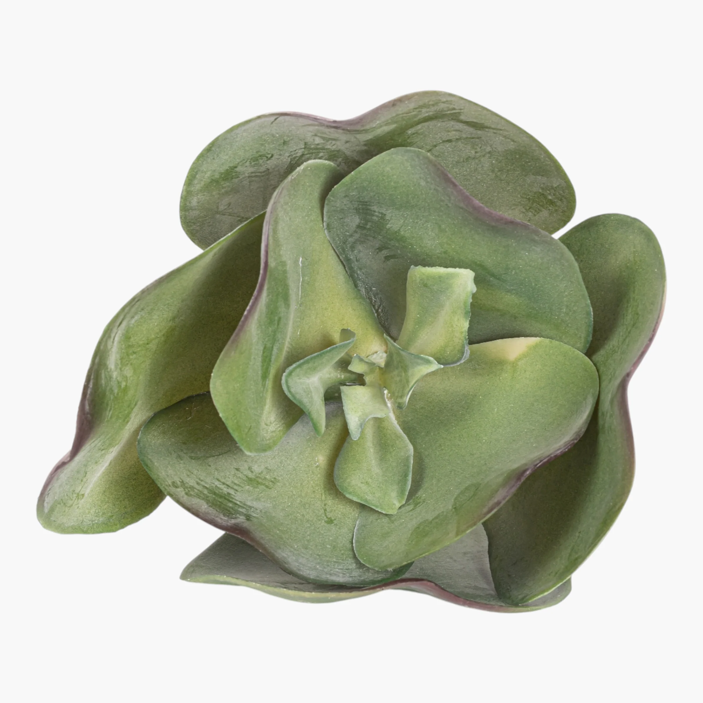 10" Succulent Stem SU1107 - Image 2