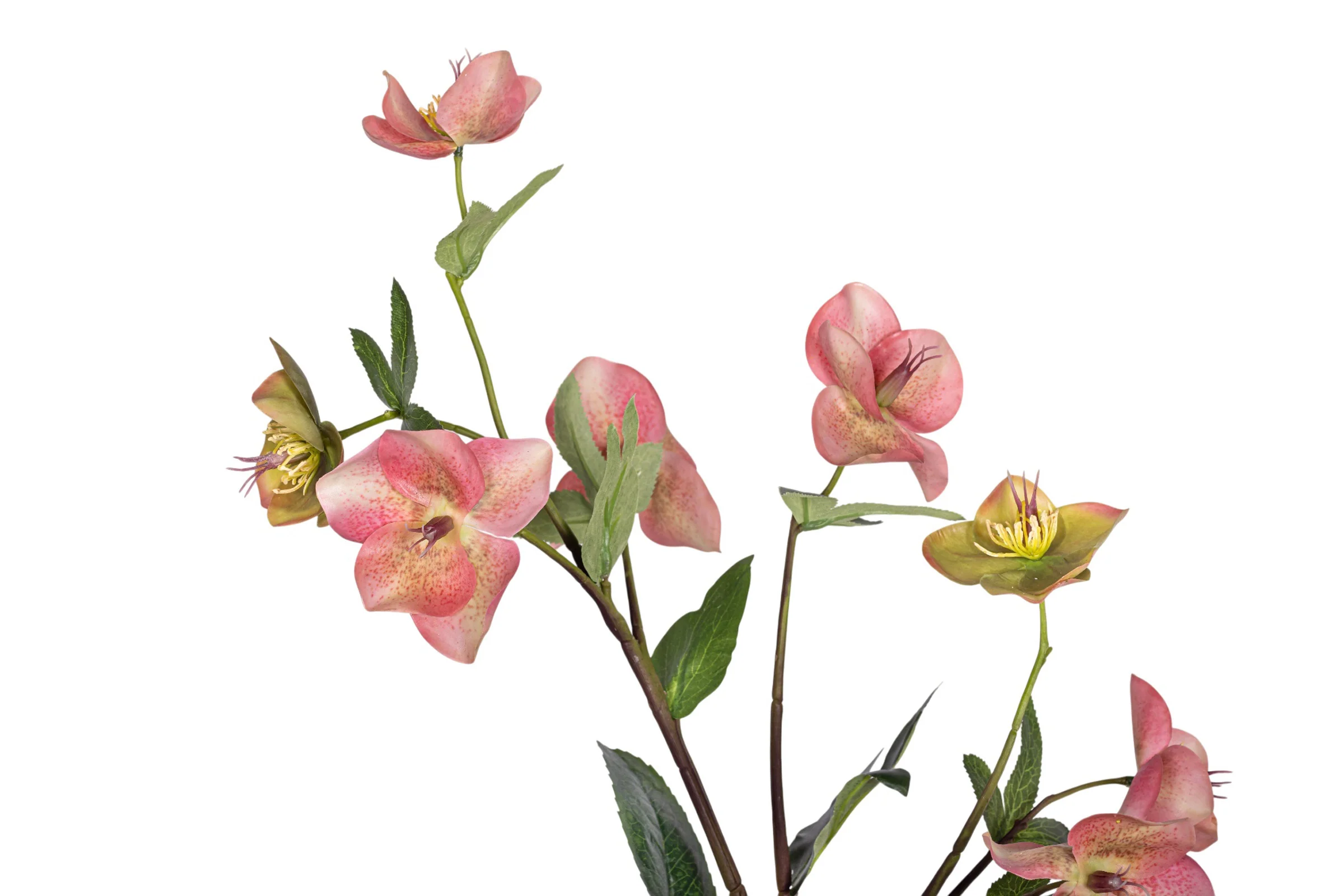 Titan Pot with Orchid Arrangement AR1967 - Image 2
