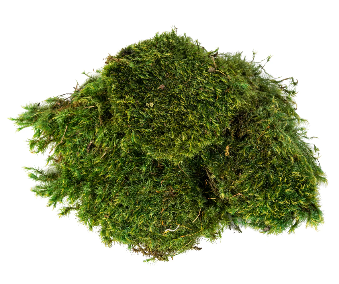 “Basketizing” - Foam with Rock or Moss Covering - 29"H+ - Image 5